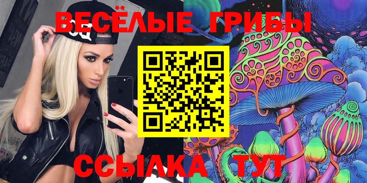 Видное  Псилоцибиновые грибы MAGIC MUSHROOMS  Вход с VPN  Галлюциногенные грибы Cubensis 