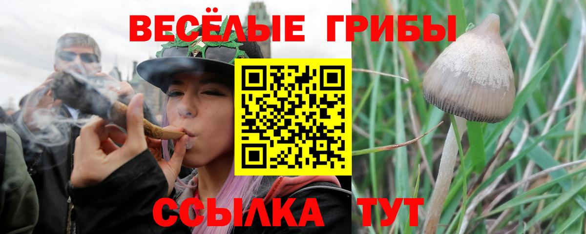 Галлюциногенные грибы MAGIC MUSHROOMS Видное
